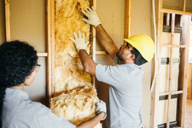 Best Basement Insulation  in Southside, AR